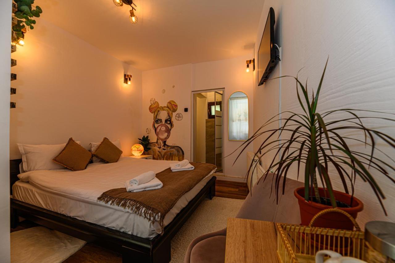 Backpacker'S Room Брашов Екстер'єр фото
